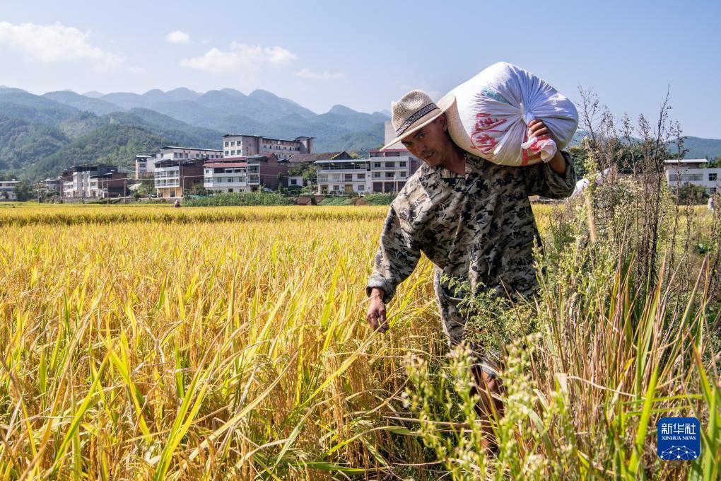 免费送彩金彩票网